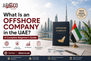 What Is an Offshore Company in the UAE? A Complete Beginner's Guide
